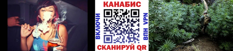 Бошки Шишки план Купить Каменск-Шахтинский